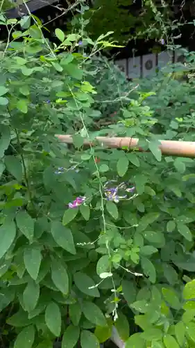 梨木神社(京都府)