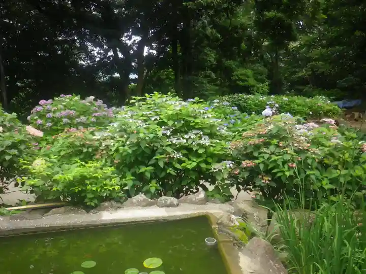 葛原岡神社の庭園