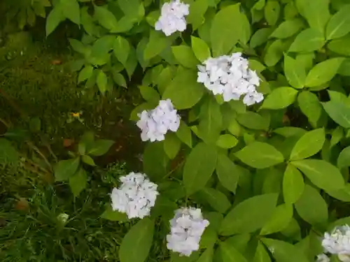 安國論寺（安国論寺）の自然