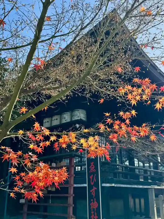 京都乃木神社(京都府)