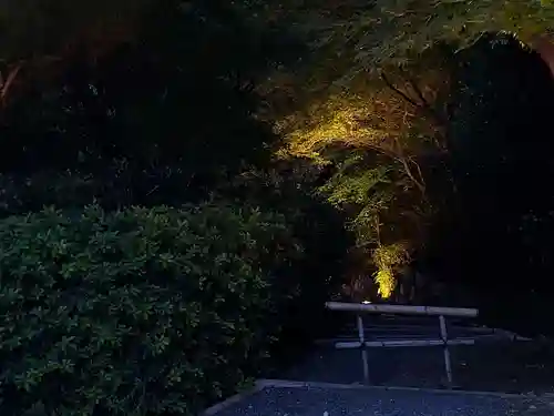 高台寺（高台寿聖禅寺・高臺寺）(京都府)