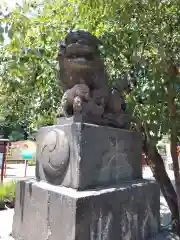 磐井神社の狛犬