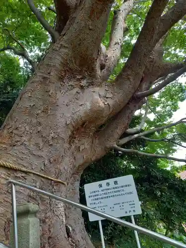 常陸第三宮　吉田神社(茨城県)