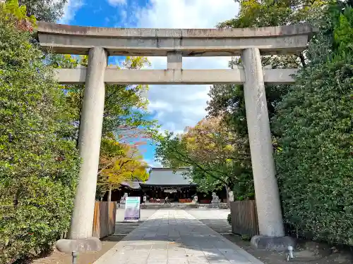 兵庫縣姫路護國神社の鳥居