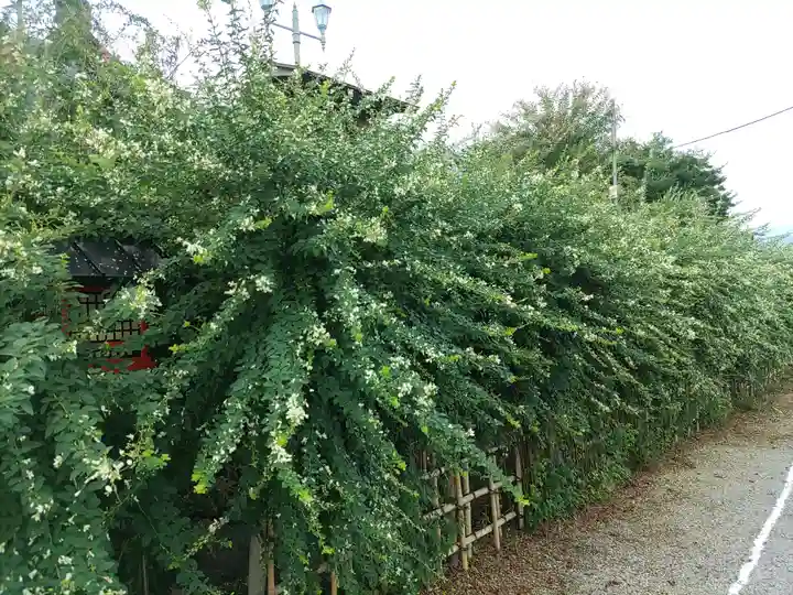 寺岡山元三大師の自然