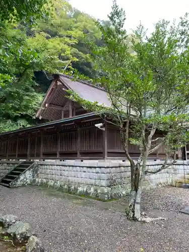 安房神社(千葉県)