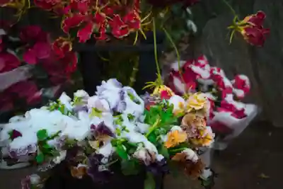 戸越八幡神社(東京都)