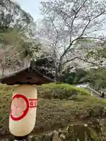 知恩院(京都府)