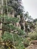 那谷寺(石川県)