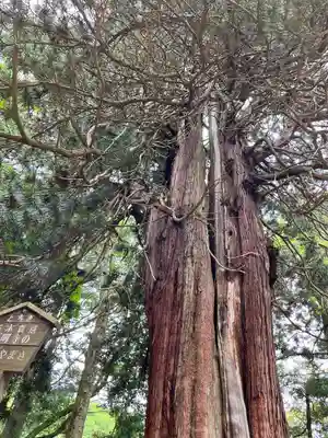 西明寺(栃木県)