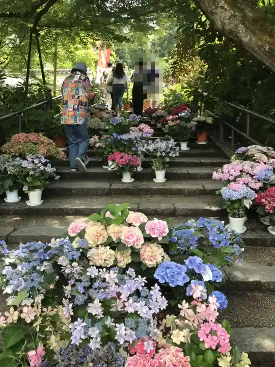 岡寺(龍蓋寺)(奈良県)