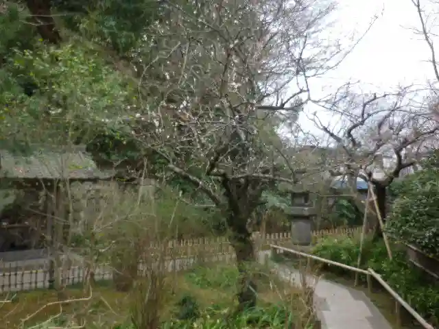 安國論寺(安国論寺)の庭園