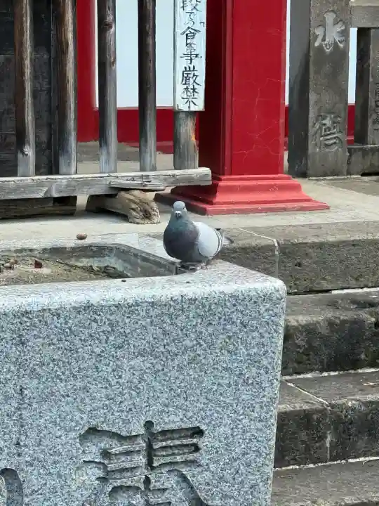 太宗寺の{uncategorized: "未分類", other: "その他", undefined: "問題あり", building: "その他建物", grave: "お墓", sacred_gate: "鳥居", guardian: "狛犬", statue: "像", buddha: "仏像", history: "歴史", nature: "自然", garden: "庭園", animal: "動物", pagoda: "塔", temizu: "手水舎", mountain_gate: "山門・神門", sanctuary: "本殿・本堂", subordinate: "末社・摂社", art: "芸術", scenery: "景色", jizo: "地蔵", ema: "絵馬", goshuin: "御朱印", omikuji: "おみくじ", items: "授与品その他", amulet: "お守り", goshuincho: "御朱印帳", eats: "食事", festival: "お祭り", votive_dance: "神楽", shichigosan: "七五三参", wedding: "結婚式", experience: "体験その他", initially: "初詣", around: "周辺", anti_infection: "感染症対策"}