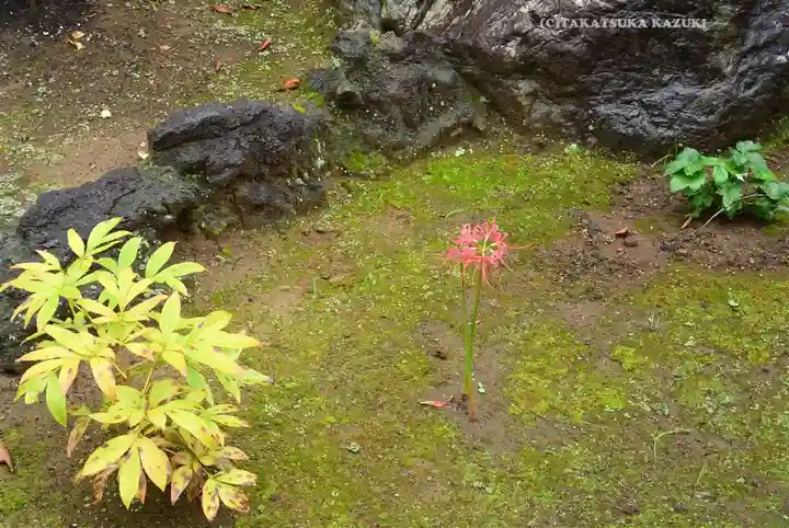 南蔵院(東京都)