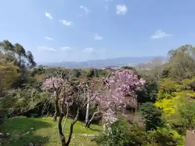 田中社神蹟(京都府)