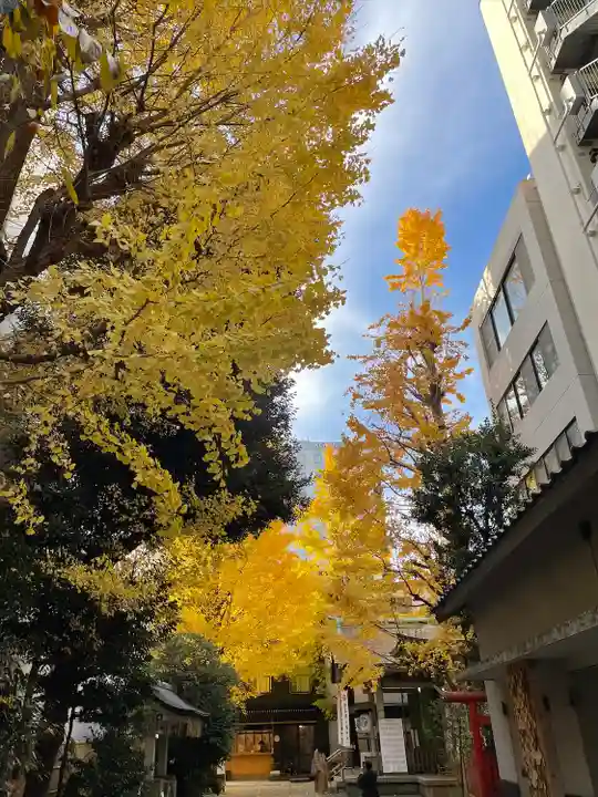 銀杏岡八幡神社(東京都)