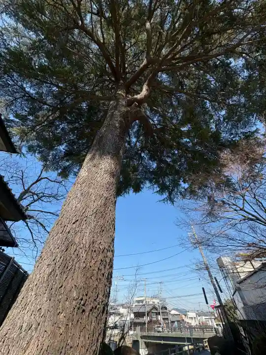見立寺の{uncategorized: "未分類", other: "その他", undefined: "問題あり", building: "その他建物", grave: "お墓", sacred_gate: "鳥居", guardian: "狛犬", statue: "像", buddha: "仏像", history: "歴史", nature: "自然", garden: "庭園", animal: "動物", pagoda: "塔", temizu: "手水舎", mountain_gate: "山門・神門", sanctuary: "本殿・本堂", subordinate: "末社・摂社", art: "芸術", scenery: "景色", jizo: "地蔵", ema: "絵馬", goshuin: "御朱印", omikuji: "おみくじ", items: "授与品その他", amulet: "お守り", goshuincho: "御朱印帳", eats: "食事", festival: "お祭り", votive_dance: "神楽", shichigosan: "七五三参", wedding: "結婚式", experience: "体験その他", initially: "初詣", around: "周辺", anti_infection: "感染症対策"}