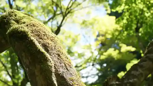 詩仙堂（丈山寺）(京都府)