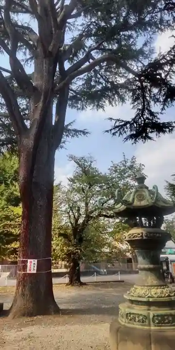 寛永寺(根本中堂)(東京都)