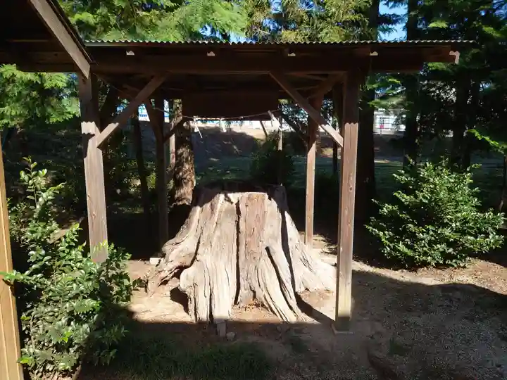 塚崎香取神社(茨城県)