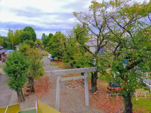 八剱社（浅野）の建物その他