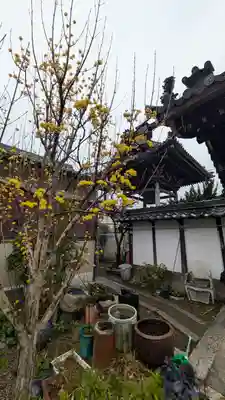 順應寺(滋賀県)