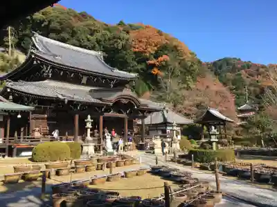 三室戸寺の本殿・本堂