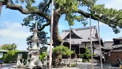 大慶寺(静岡県)