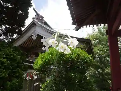 宝勝院のその他建物