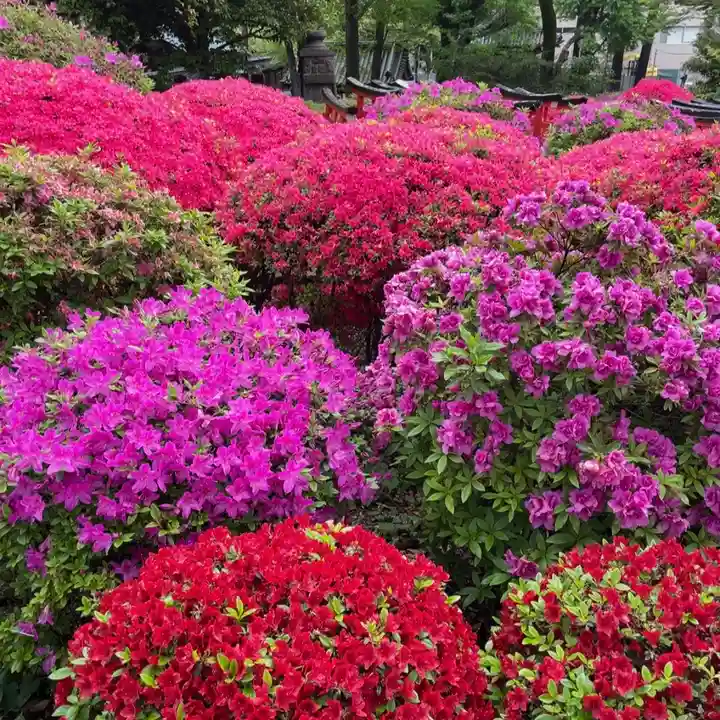 根津神社(東京都)