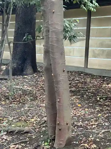 靖國神社(東京都)