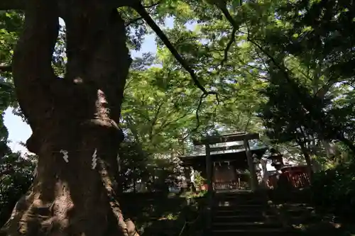 愛宕神社の景色