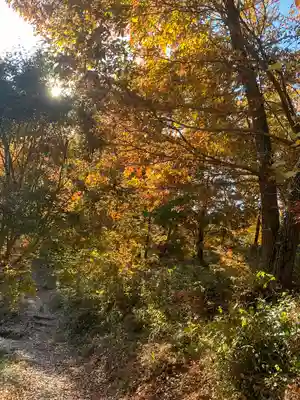 成身院　百体観音堂（さざえ堂）(埼玉県)