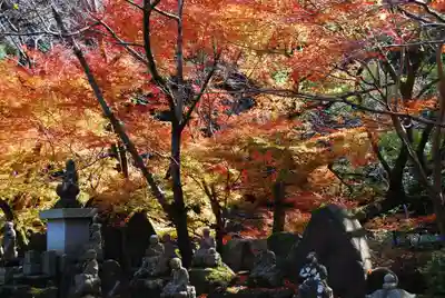 大寧寺(山口県)