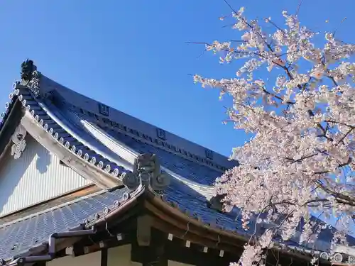 専通寺(岐阜県)