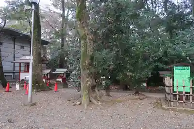 津島神社(愛知県)