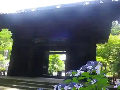 妙本寺の山門・神門