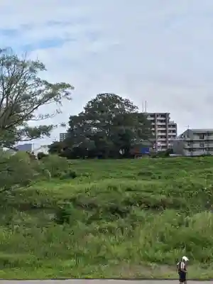 旅立稲荷神社の周辺