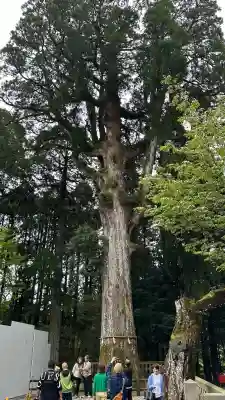 霧島神宮(鹿児島県)