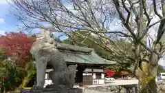 吉野神宮の狛犬