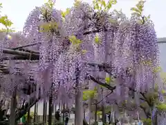 竹鼻別院(岐阜県)