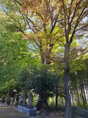 久地神社(神奈川県)