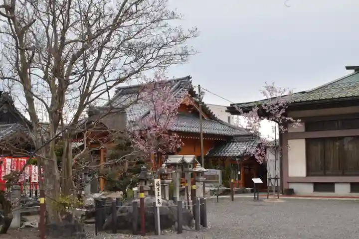豊国神社の自然