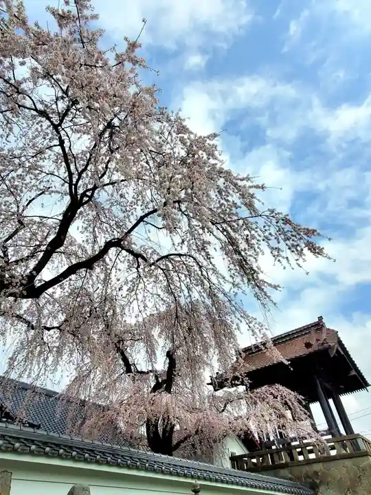 長松院(福島県)