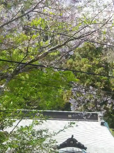 御霊神社の自然