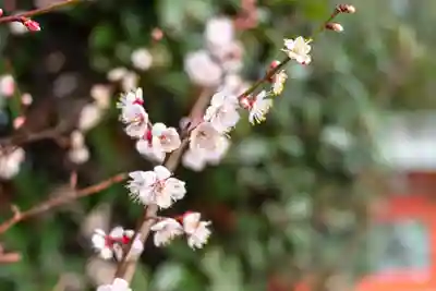 筥崎宮(福岡県)