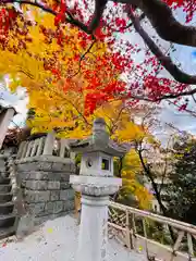 紅葉八幡宮(福岡県)