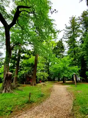 神炊館神社 ⁂奥州須賀川総鎮守⁂(福島県)