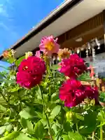 伊達神社(北海道)