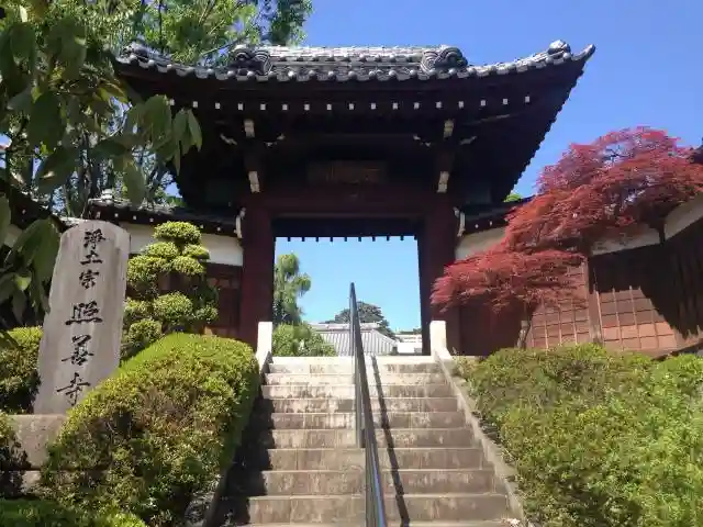 照善寺の山門